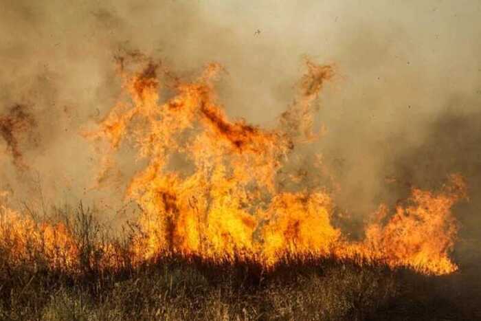 В Волгоградской области крупные степные пожары